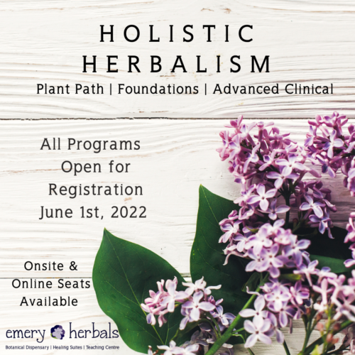 Holistic Herbalism Programs Open for Registration June 1st!